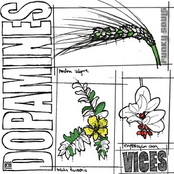 Vices