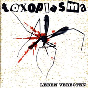 Toxoplasma – Leben verboten