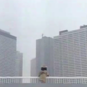 Parallel Conurbation