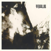 Torus