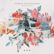 Markus Stockhausen – Wild Life