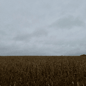 The Sound of You