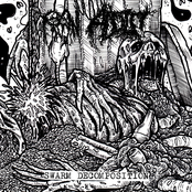 SWARM DECOMPOSITION