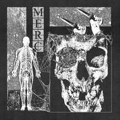 S/T