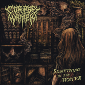 ...something in the water