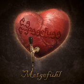 Haggefugg – Metgefühl