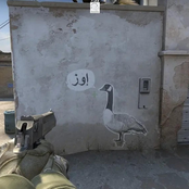 duck/goose (demo)