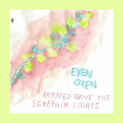 Arrayed Above the Seraphim Lights
