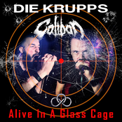 Alive In a Glass Cage