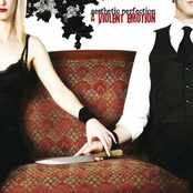 Aesthetic Perfection – A Violent Emotion