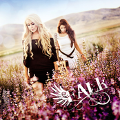 Falk – Falk