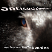rage, hate, and fluffy bunnies