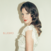 Bluebird cover
