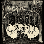Invasive Spectators