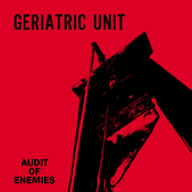 Audit Of Enemies