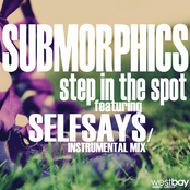 Step In The Spot