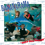 Deep Sea Skiving cover