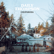 Daily Thompson – Chuparosa