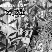 equatorial connection