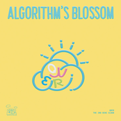 Algorithm’s Blossom