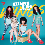 Wings cover