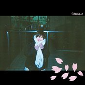 Sakura Hitohira