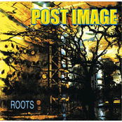 Roots