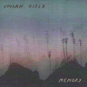 Memory cover