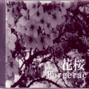 花桜