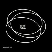 Tere Bina