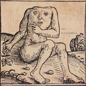 Blemmebeya