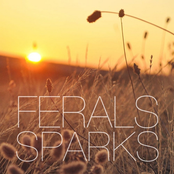Sparks