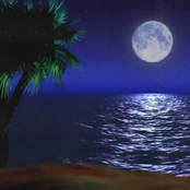 Deep Sea Dreams