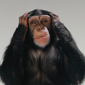 Outras Gravações