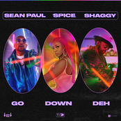 Spice – Go Down Deh (feat. Sean Paul & Shaggy)