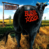 Dude Ranch
