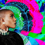 Phenomenal Woman (Remixes) cover