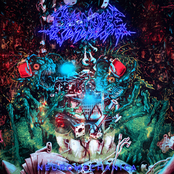 Neuromechanica