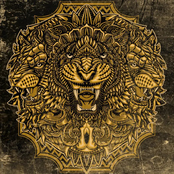 Animal chapters