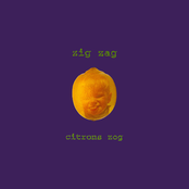 Citrons Zog