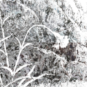 frozen over