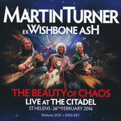 Martin Turner – The Beauty of Chaos