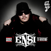 Terrone