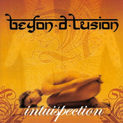 Intuispection cover