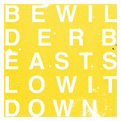 Slow It Down