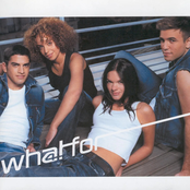 Whatfor