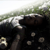 WITHERED