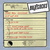 John Peel Session [7th September 1977]