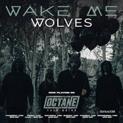 WOLVES