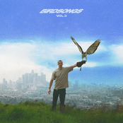 Baird – Birdsongs, Vol. 3